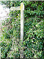 TG2437 : Restricted Byway sign by David Pashley