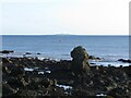 NO5100 : Sea Stack between Elie and St Monans by Becky Williamson