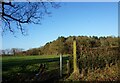 Path leading to White House Farm