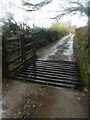 Cattle grid near Hanger Down, in the rain