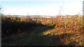 Trans Pennine Trail leading down towards Tinsley Park Cemetery