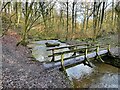 Footbridge over Poise Brook