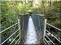 Footbridge over the River Vyrnwy