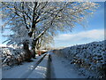 Snow at Whiteshawgate, Strathaven