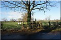 Public footpath off Crown Lane