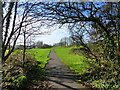 The Wales Coast Path below the M48 junction for Chepstow