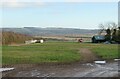 Gallops off Langton Road