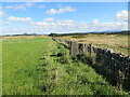 Field, moorland, wall and Triangulation Pillar on Selkirk Common