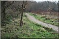 Path at Woolslope Farm