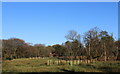 Rough Pasture off Oakmere Avenue