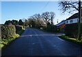 Forty Acre Lane at The Acres Farm