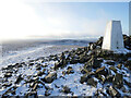 NT8515 : Triangulation pillar at Russell's Cairn, Windy Gyle by James T M Towill