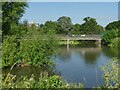 Firepool Weir on the river Tone