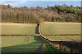 Farmland, Little Hampden