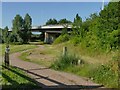 Footpath under Obridge Viaduct