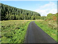 Minor road beside Lochburn Plantation