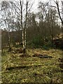 Old building foundations above Foyers Road, Kinlochleven