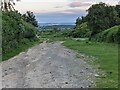 Track at Bircher Common