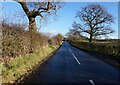 Cocksmoss Lane towards Cocksmoss Wood