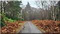 A driveway to Minley Manor