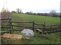 Stone Stile, Horsley