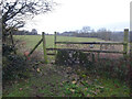 ST8398 : Stone Stile, Horsley by Mr Red