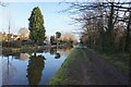 Trent & Mersey Canal towards Dallow Lock