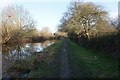 Trent & Mersey Canal towards Stretton Road Bridge