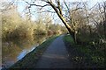 Trent & Mersey Canal towards Stretton Road Bridge