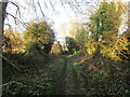 Field Lane near Tonge