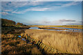 The island on the Wick River by the Coghill Footbridge