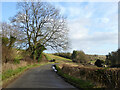 Lane towards Wishanger and Miserden