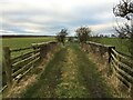 Farm track on bridge over dismantled railway