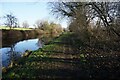 Trent & Mersey Canal towards bridge #15