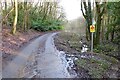 Road entering Harcombe Bottom