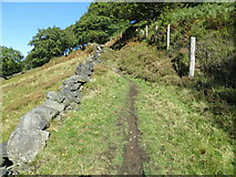 SE0510 : Wall and fence enclosed footpath climbing towards Hill Top and Binn Edge by Peter Wood