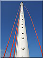 SX9456 : Flagpole on Berry Head by Neil Owen