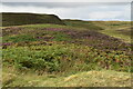 ND3141 : Moorland, Cairn O' Get by N Chadwick