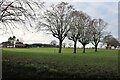 TL1826 : Field by Preston Road, St Ippolyts by David Howard