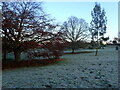 Early morning frost near Lesnes Abbey