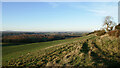 SO7793 : Shropshire farmland near Dallicott by Roger  Kidd