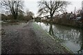 Coventry Canal towards bridge #67