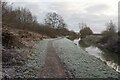 Coventry Canal towards bridge #59