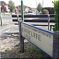SZ0995 : Muscliff: Muscliffe Lane by Chris Downer