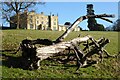 SP0345 : Fallen tree and Abbey Manor House by Philip Halling