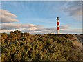 NH9487 : Tarbatness Lighthouse by David Bremner