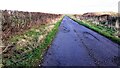 NY4159 : Track heading NE towards Black Moss Plantation by Roger Templeman