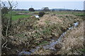 SZ1693 : Drainage ditches on marshland west of Burton by David Martin