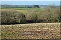 Farmland, St Michael Penkevil