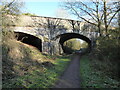 Road bridge over the old railway line near Gnosall